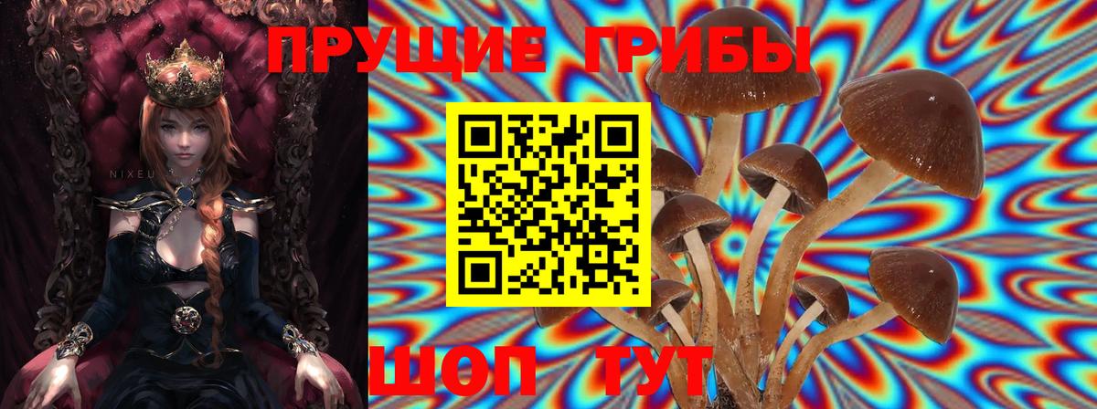 Псилоцибиновые грибы ЛСД  продажа наркотиков  Вход с VPN  Елабуга  Псилоцибиновые грибы мицелий 